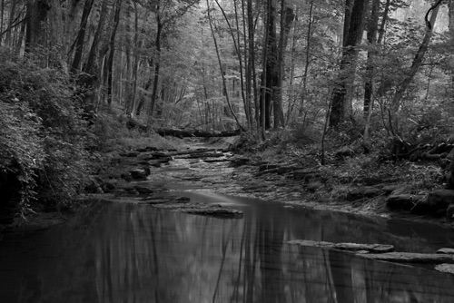 Kingwood Creek Preserve (Hunterdon Land Trust) Hunterdon County New Jersey (7908BWSA).jpg